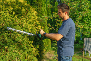 Herramientas de Jardinería